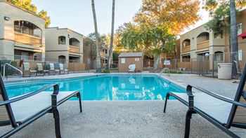 Tanglewood pool view with tall trees surrounding and lounge area all around